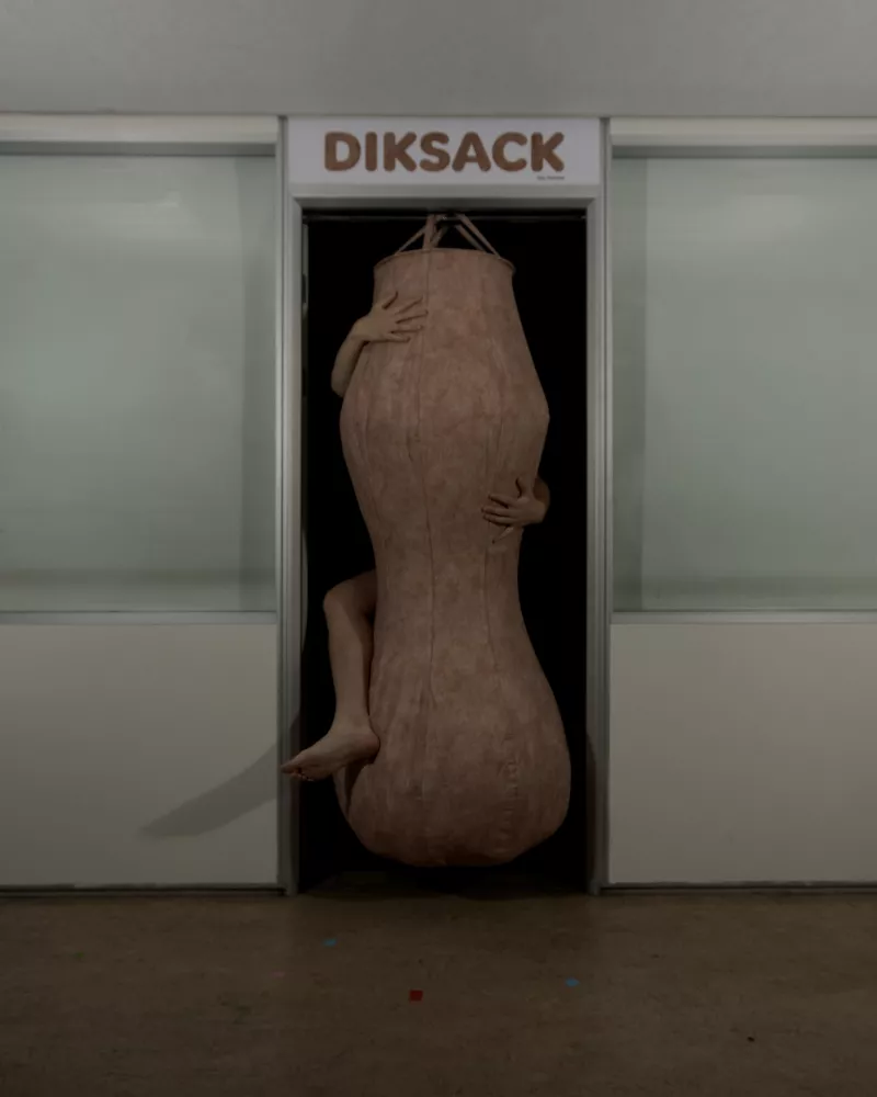 Tjue Hermse - Dicksack
